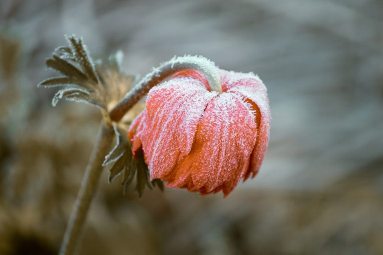 Führungshäppchen 10